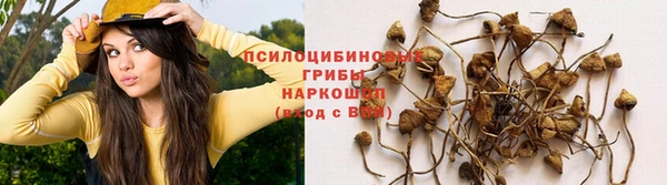 первитин Гусь-Хрустальный
