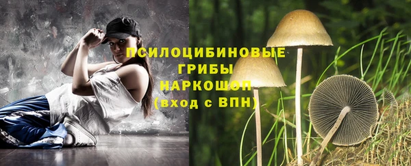 MESCALINE Гусев